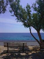 Seawater surface view horizon and the green pine tree, Greece paradise island Chios, volcanic stone beach Mavra Volia, beach view bench photo