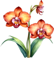 AI generated Watercolor painting of a Monkey Face Orchid flower. png