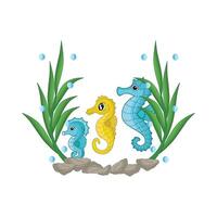 illustration of seahorse family vector