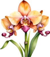 AI generated Watercolor painting of a Monkey Face Orchid flower. png