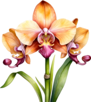 ai generiert Aquarell Gemälde von ein Affe Gesicht Orchidee Blume. png