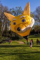 Ludwigsburg, Germany - March 23, 2024.A man inflates a balloon at a balloon festival photo