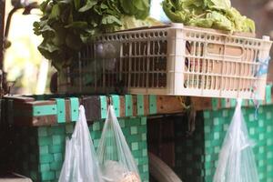 de venta bienes de bicicleta vegetal vendedores en Indonesia foto