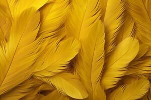 Yellow Feathers Background, Yellow feathers pattern, feathers background, feathers wallpaper, bird feathers pattern, photo