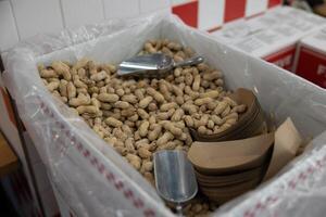 Fresh peanuts with shells box.Iron spatula for set of peanuts.Elephant delicacy photo