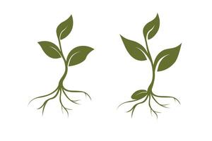 sprouts, three leaves, roots, seed. Organic creative symbol concept, natural biocosmetics, nature vector