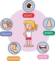 little kids holding cards about 5 senses.little children showing parts of the body vector