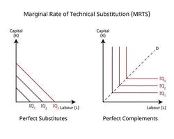 marginal Velocidad de técnico sustitución o mrts en ciencias económicas para imperfecto sustitutos y Perfecto complementa vector