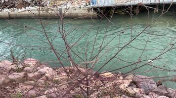 Vietnam phu quoc isla río abandonado zona intacto naturaleza sitio para un nuevo edificio palma arboles Oceano plantas césped video