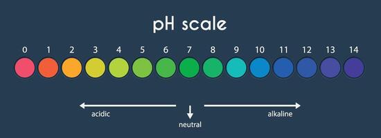 ph valor escala gráfico para ácido-alcalino solución. base ácida equilibrar infografía aislado en blanco antecedentes. indicador para concentración de hidrógeno ion en solución. ilustración. vector