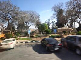 Abha, Saudi Arabia, 12 April 2024 - A beautiful view of trees and grass in a park near the famous The Art Street in Abha, Saudi Arabia. photo