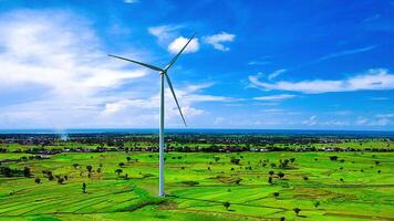 aéreo ver de un viento turbina granja con arroz arrozales y un hermosa cielo video