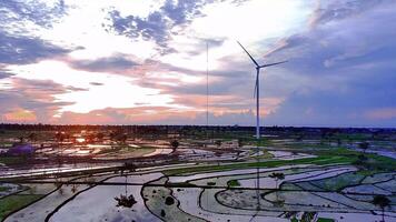 aéreo Visão do uma vento turbina Fazenda com arroz arrozais e uma lindo céu video