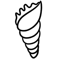 Coral line,Shell line,seaweed Black and white outline white color in shape and black line png