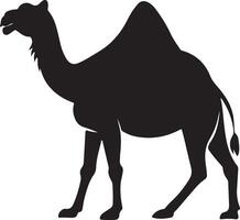 Flat design Camel silhouette,Camel graphic icon. Camel black sign isolated on white background. Camel symbol of desert. illustration vector