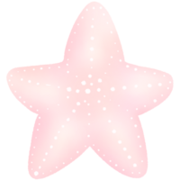 Pink starfish summer sea collection.Watercolor illustration and cartoon style pastel ocean illustration isolated png