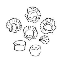 Escallop sea mollusc clam hand drawn ink sketch on isolated background. Set with seafood, open and fresh scallop, marine animals, shellfish. Design elements for menu, logo, label, print, card, paper vector