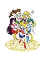 Hero girl sailormoon eleven vector