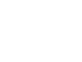 a cute bird png