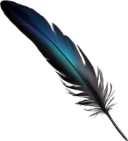 Close-up of black crow-inspired feathers. AI-Generated. png