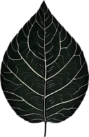 An image of a stylized leaf. AI-Generated. png