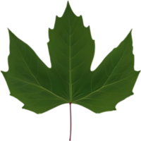 An image of a stylized leaf. AI-Generated. png