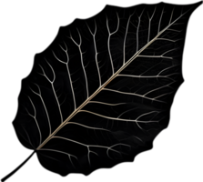 An image of a stylized leaf. AI-Generated. png