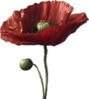 een papaver in hyperrealistisch tekenfilm stijl. ai-gegenereerd. png