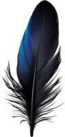de cerca de negro inspirado en el cuervo plumas. ai-generado. png