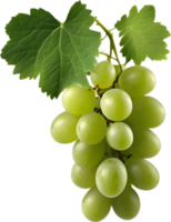 A bunch of green grapes with a green leaf attached. AI-Generated. png