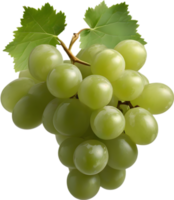 A bunch of green grapes with a green leaf attached. AI-Generated. png