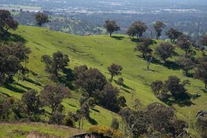 Green hills at Huon hill lookout Bandiana, Victoria, Australia. photo