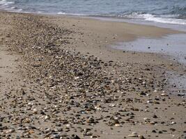 detalle de cáscara en el apuntalar en aveiro Portugal arena dunas atlántico Oceano playa ver paisaje panorama foto