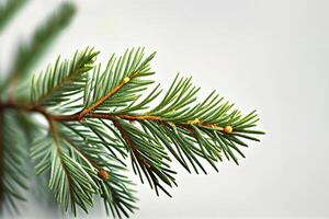 Spruce branch isolated on white background. Green fir. Realistic Christmas tree llustration for Xmas cards, New year party posters. Generative ai photo