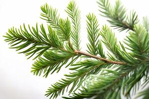 Spruce branch isolated on white background. Green fir. Realistic Christmas tree llustration for Xmas cards, New year party posters. Generative ai photo