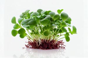 Sprouted radish seeds microgreens. Earth Day. Seed Germination at home. View from above. Space for text. Concept Vegan and healthy eating. Growing sprouts. Generative ai photo