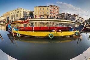 Aveiro Moliceiro boat gondola detail Traditional boats on the canal, Portugal. photo