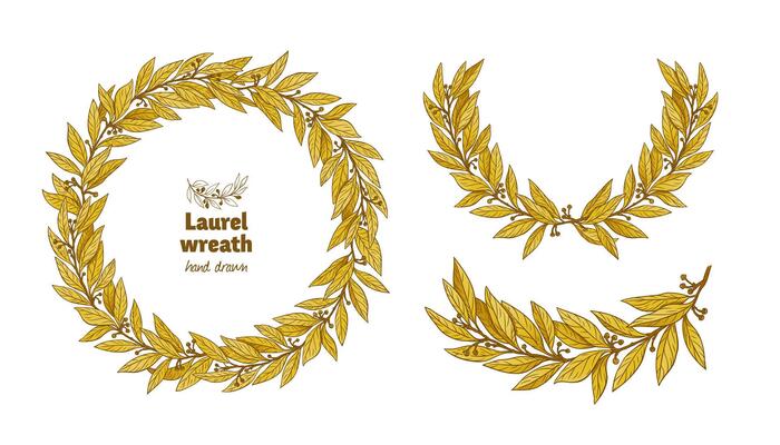 Laurel Bay leaves decorative wreath frame illustration