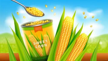 Sweet corn realistic advertising poster. Open tin can or conserve with golden yellow corn grains or maize, promo banner vector