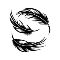 plumas. conjunto de negro siluetas de plumas ilustración vector