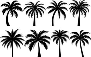 Set of palm trees silhouette isolated on white background. vector