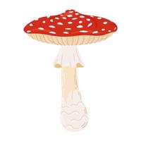 Fly agaric red poison mushroom. Hand drawn Amanita muscaria. Hallucinogenic, psychedelic forest mushroom. Trendy flat style magic fungus isolated on white illustration vector