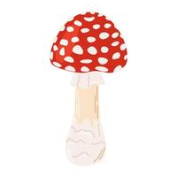 Fly agaric red poison mushroom. Hand drawn Amanita muscaria. Hallucinogenic, psychedelic forest mushroom. Trendy flat style magic fungus isolated on white illustration vector