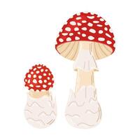 Fly agaric red poison mushrooms. Big and small mushroom Hand drawn Amanita muscaria. Hallucinogenic, psychedelic forest mushroom. Trendy flat style magic fungus isolated on white illustration vector