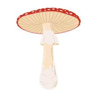 Fly agaric red poison mushroom. Hand drawn Amanita muscaria. Hallucinogenic, psychedelic forest mushroom. Trendy flat style magic fungus isolated on white illustration vector