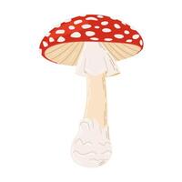 Fly agaric red poison mushroom. Hand drawn Amanita muscaria. Hallucinogenic, psychedelic forest mushroom. Trendy flat style magic fungus isolated on white illustration vector