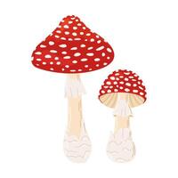 Fly agaric red poison mushrooms. Big and small mushroom Hand drawn Amanita muscaria. Hallucinogenic, psychedelic forest mushroom. Trendy flat style magic fungus isolated on white illustration vector