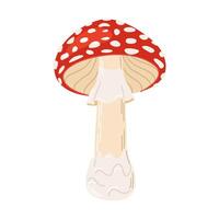 Fly agaric red poison mushroom. Hand drawn Amanita muscaria. Hallucinogenic, psychedelic forest mushroom. Trendy flat style magic fungus isolated on white illustration vector