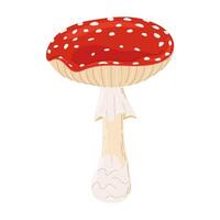 Fly agaric red poison mushroom. Hand drawn Amanita muscaria. Hallucinogenic, psychedelic forest mushroom. Trendy flat style magic fungus isolated on white illustration vector