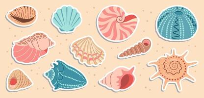 Cute sea shells sticker set. Trendy flat style seashell collection. Ocean underwater sink seashell conch aquatic mollusk. Hand drawn spiral snail, marine animals. illustration vector